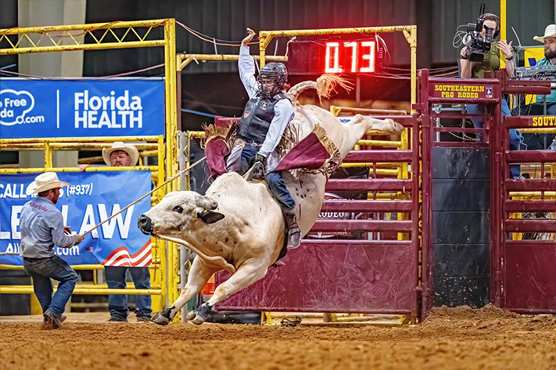 Bull Rider